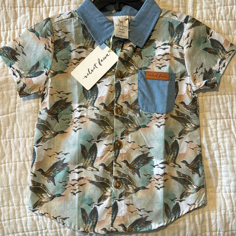 Velvet Fawn Button Down